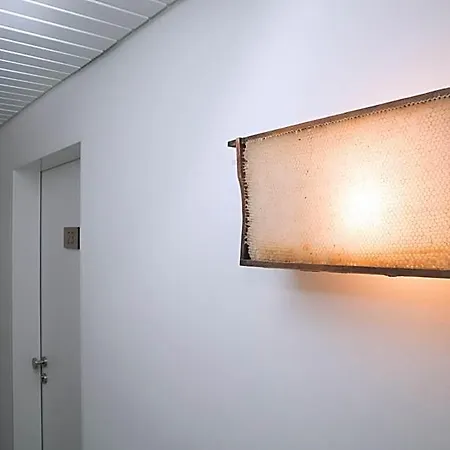 Kammerer Hotel Sankt Georgen im Schwarzwald